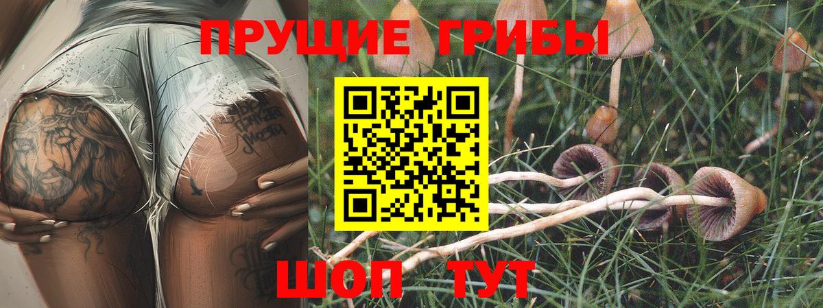 Галлюциногенные грибы прущие грибы  Вход с VPN  Псилоцибиновые грибы Magic Shrooms  Димитровград 