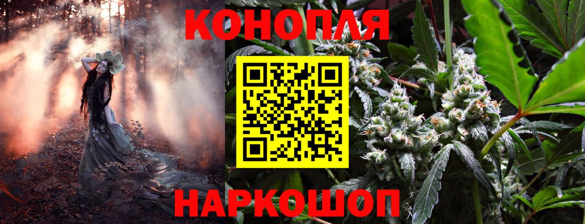 Димитровград  Марихуана SATIVA & INDICA  Бошки марихуана OG Kush  МАРИХУАНА планчик  Вход с VPN 